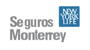 aseguradora - segurosmonterrey@1-5x